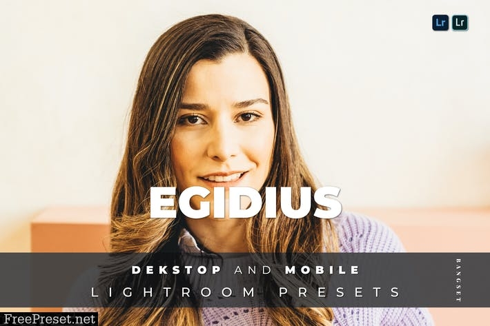 Egidius Desktop and Mobile Lightroom Preset