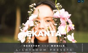 Ekanta Desktop and Mobile Lightroom Preset