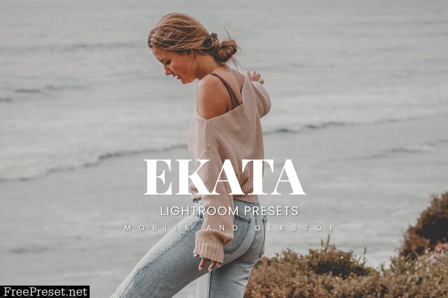 Ekata Lightroom Presets Dekstop and Mobile