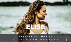 Elise Desktop and Mobile Lightroom Preset