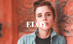Eloy Lightroom Presets Dekstop and Mobile