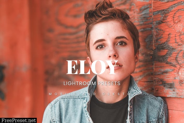 Eloy Lightroom Presets Dekstop and Mobile