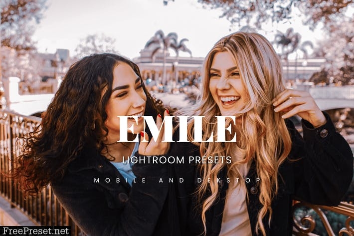 Emile Lightroom Presets Dekstop and Mobile