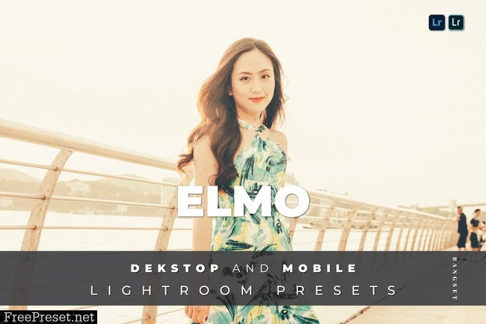 Emily Desktop and Mobile Lightroom Preset