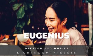 Eugenius Desktop and Mobile Lightroom Preset
