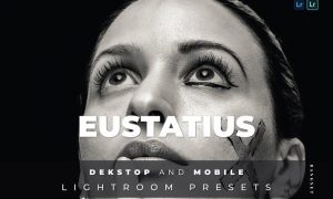 Eustatius Desktop and Mobile Lightroom Preset