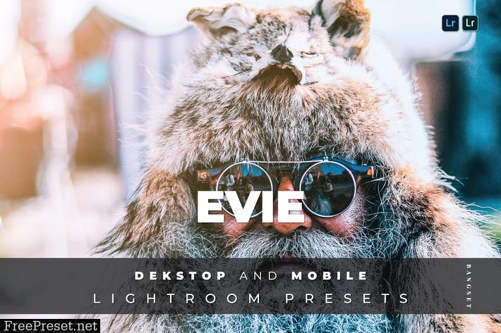 Evie Desktop and Mobile Lightroom Preset