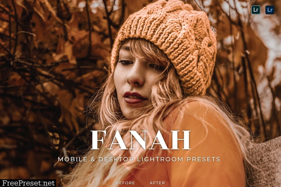 Fanah Mobile and Desktop Lightroom Presets