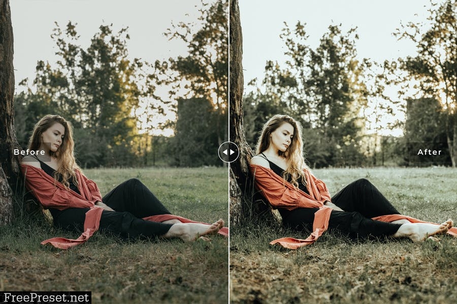 Folklore Mobile & Desktop Lightroom Presets