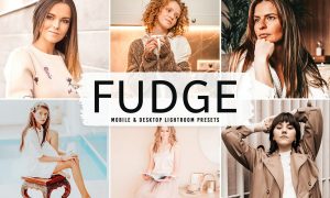 Fudge Mobile & Desktop Lightroom Presets