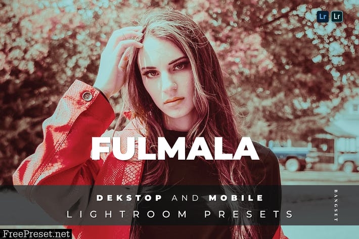 Fulmala Desktop and Mobile Lightroom Preset