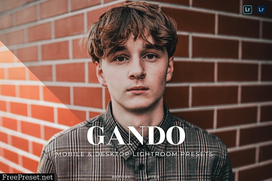 Gando Mobile and Desktop Lightroom Presets