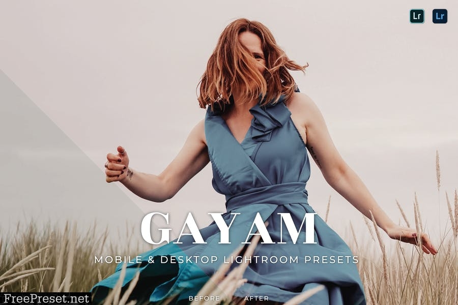 Gayam Mobile and Desktop Lightroom Presets