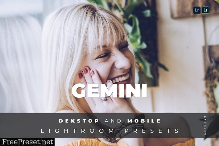 Gemini Desktop and Mobile Lightroom Preset