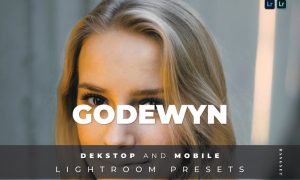 Godewyn Desktop and Mobile Lightroom Preset
