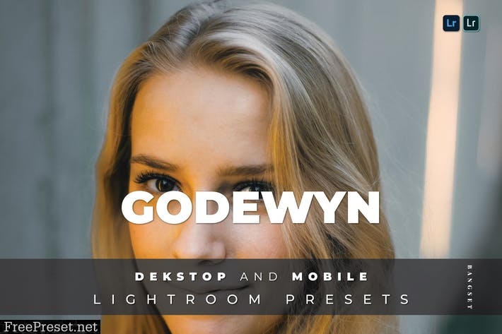 Godewyn Desktop and Mobile Lightroom Preset