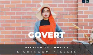 Govert Desktop and Mobile Lightroom Preset