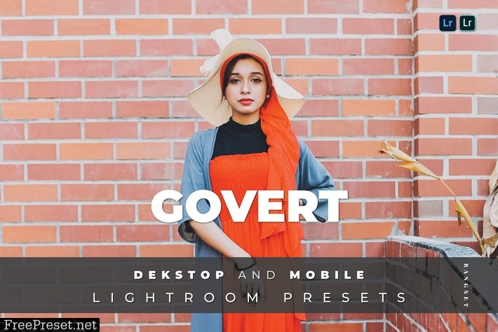 Govert Desktop and Mobile Lightroom Preset