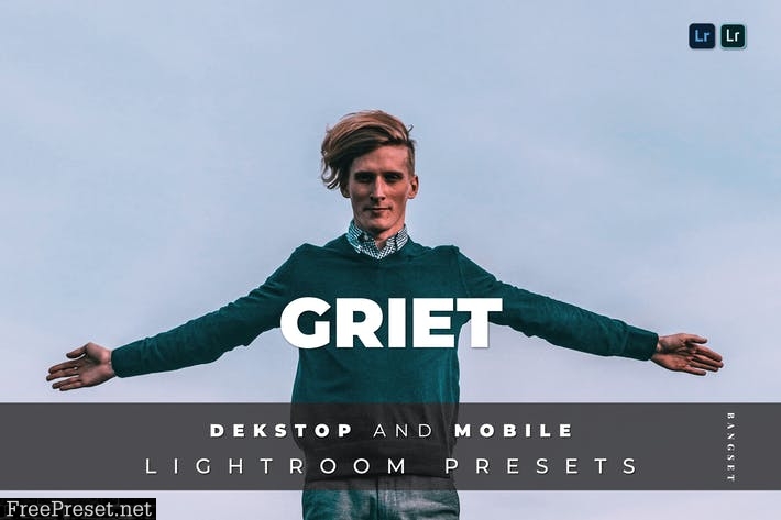 Griet Desktop and Mobile Lightroom Preset