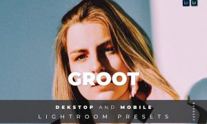 Groot Desktop and Mobile Lightroom Preset