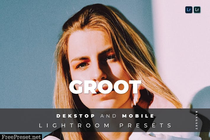 Groot Desktop and Mobile Lightroom Preset