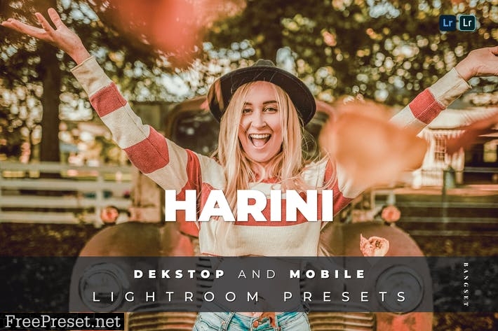 Harini Desktop and Mobile Lightroom Preset