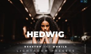 Hedwig Desktop and Mobile Lightroom Preset