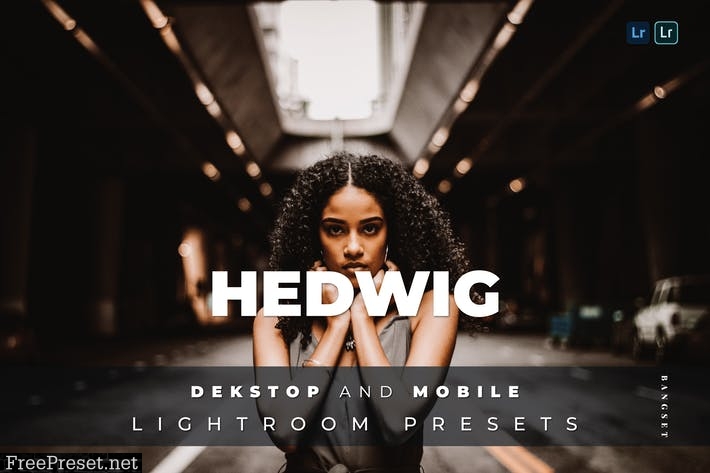 Hedwig Desktop and Mobile Lightroom Preset