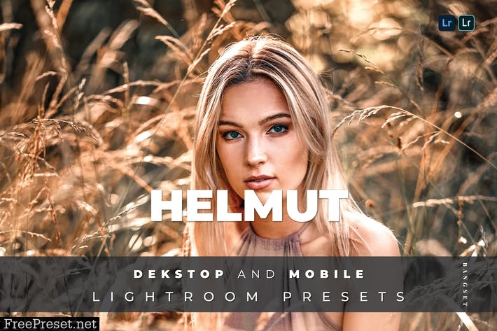 Helmut Desktop and Mobile Lightroom Preset