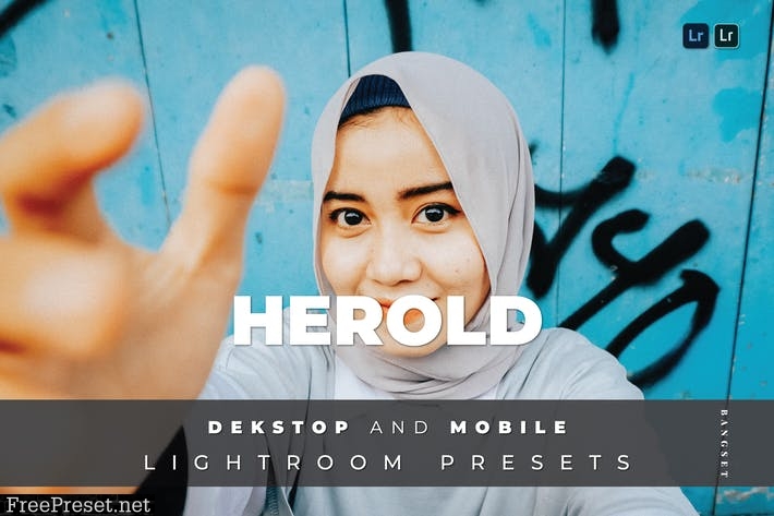 Herold Desktop and Mobile Lightroom Preset