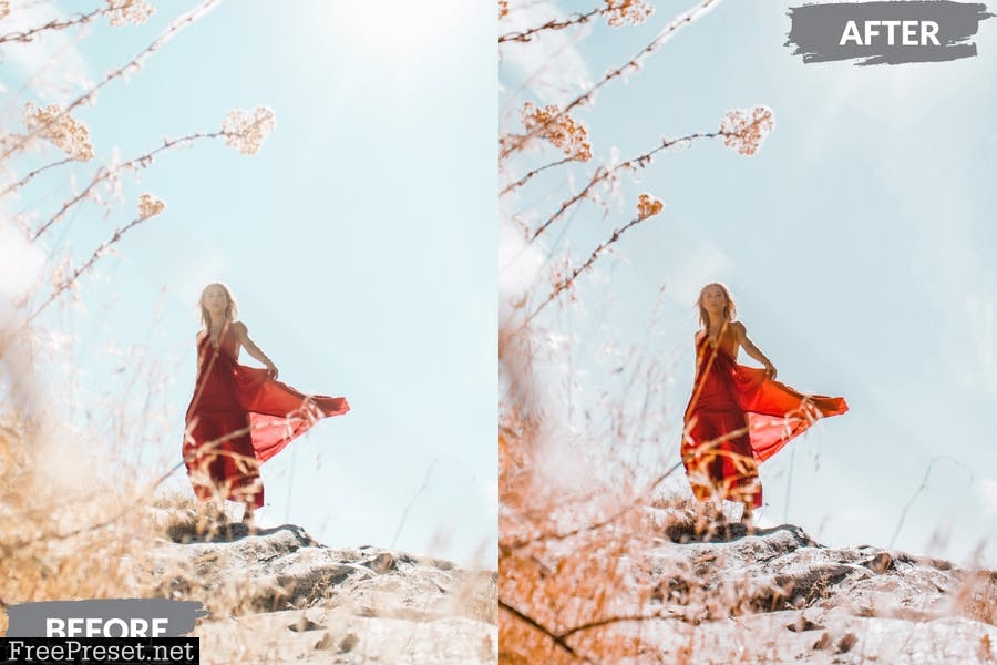 Isabel Lightroom Presets Dekstop and Mobile