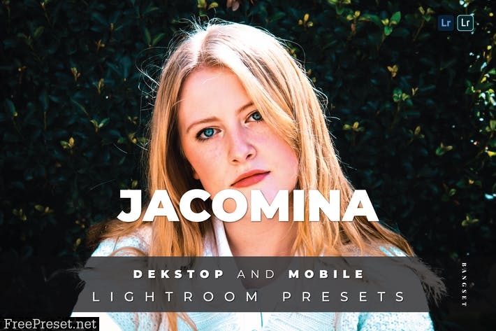 Jacomina Desktop and Mobile Lightroom Preset