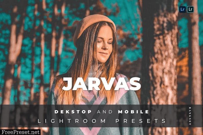 Jarvas Desktop and Mobile Lightroom Preset