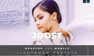 Joost Desktop and Mobile Lightroom Preset