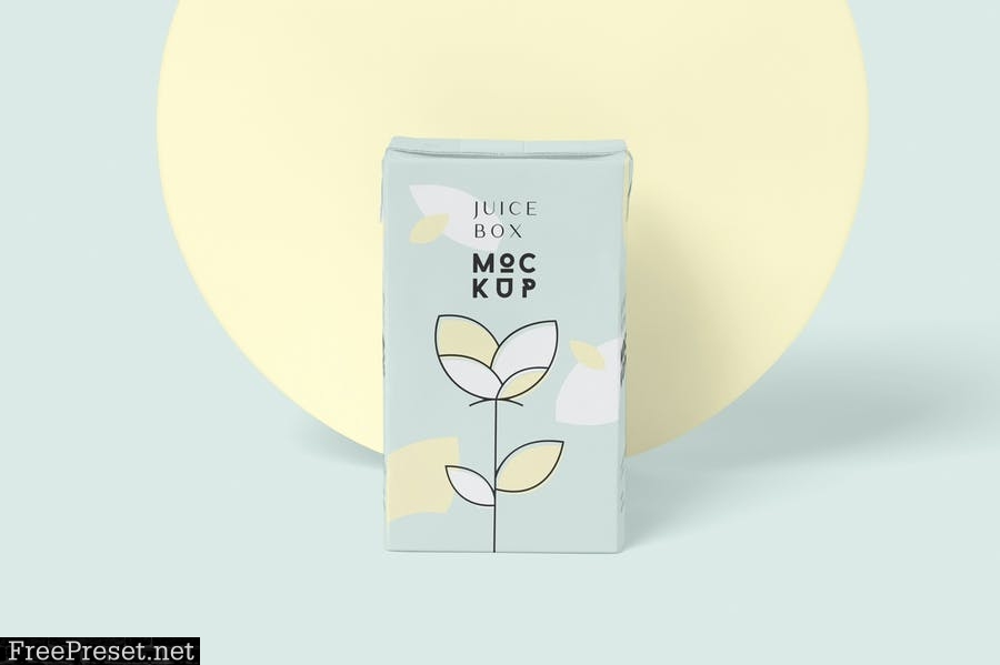 Juice Box Mockups HSGELZH