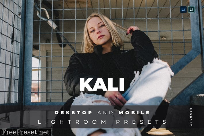 Kali Desktop and Mobile Lightroom Preset