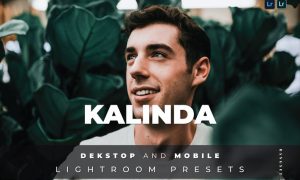 Kalinda Desktop and Mobile Lightroom Preset
