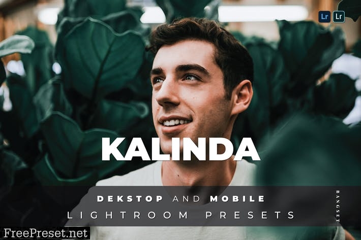 Kalinda Desktop and Mobile Lightroom Preset