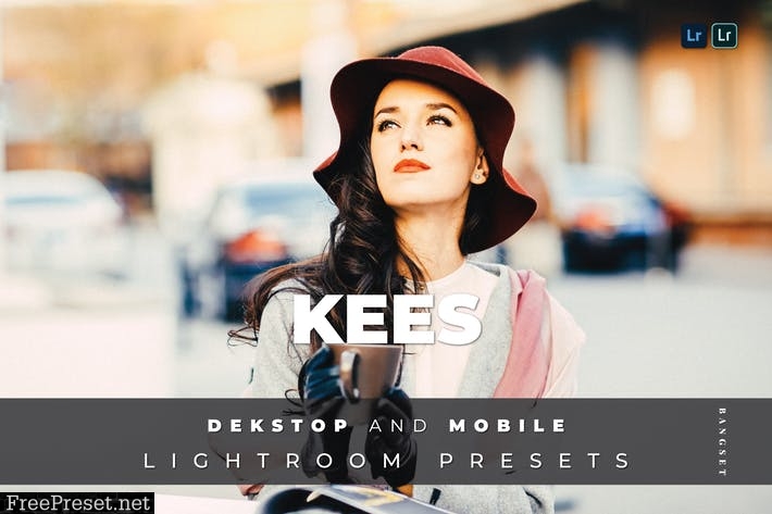 Kees Desktop and Mobile Lightroom Preset