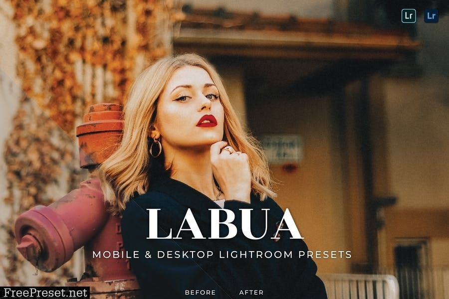 Labua Mobile and Desktop Lightroom Presets