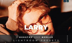 Larry Desktop and Mobile Lightroom Preset