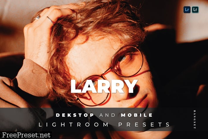 Larry Desktop and Mobile Lightroom Preset