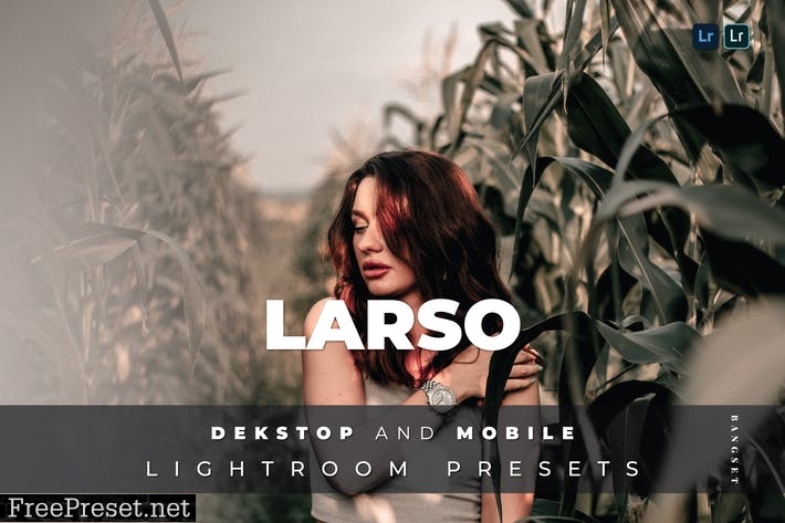 Larso Desktop and Mobile Lightroom Preset