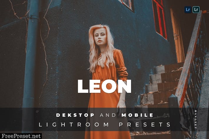 Leon Desktop and Mobile Lightroom Preset