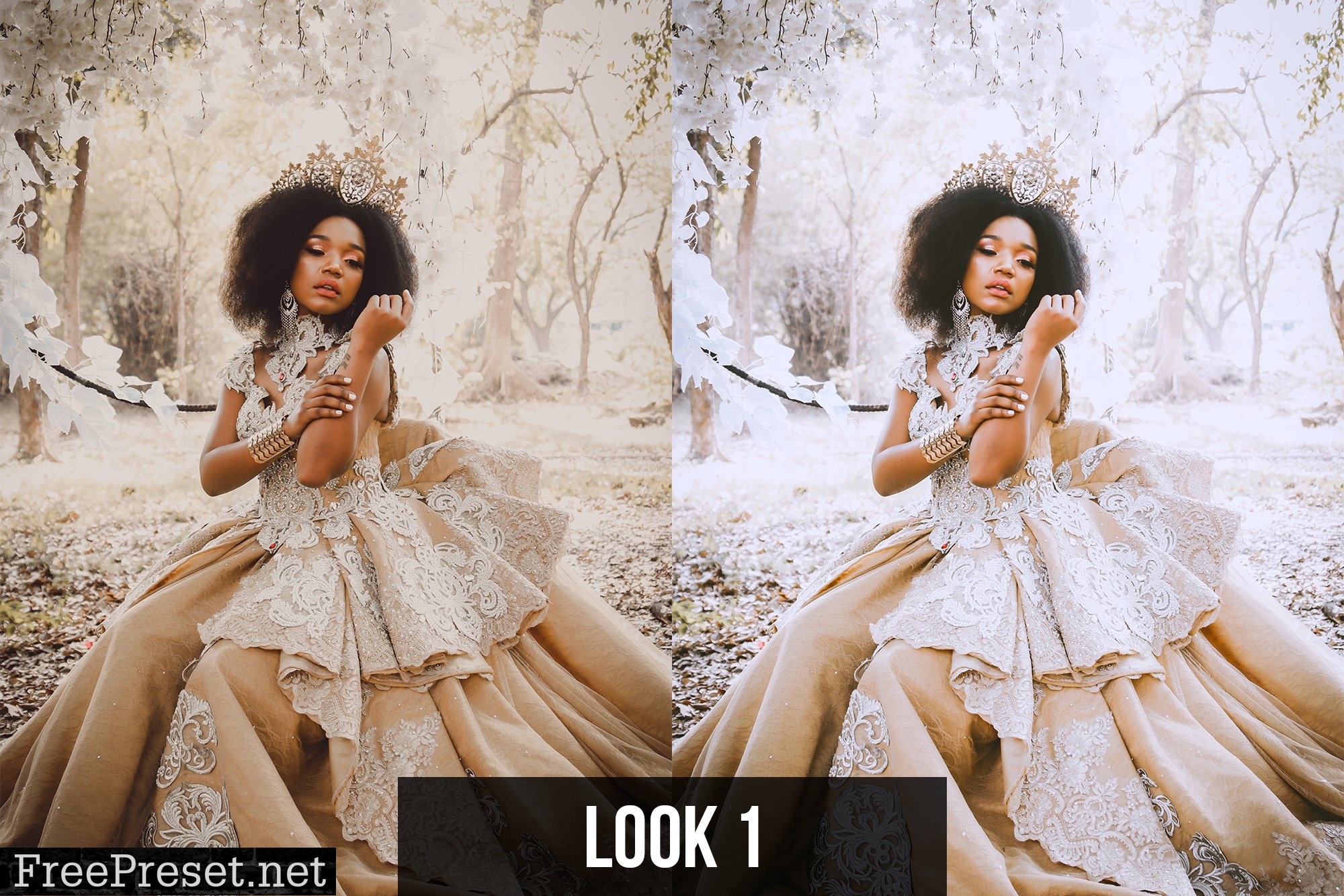 Lightroom Presets - Insta Look 2 6237909