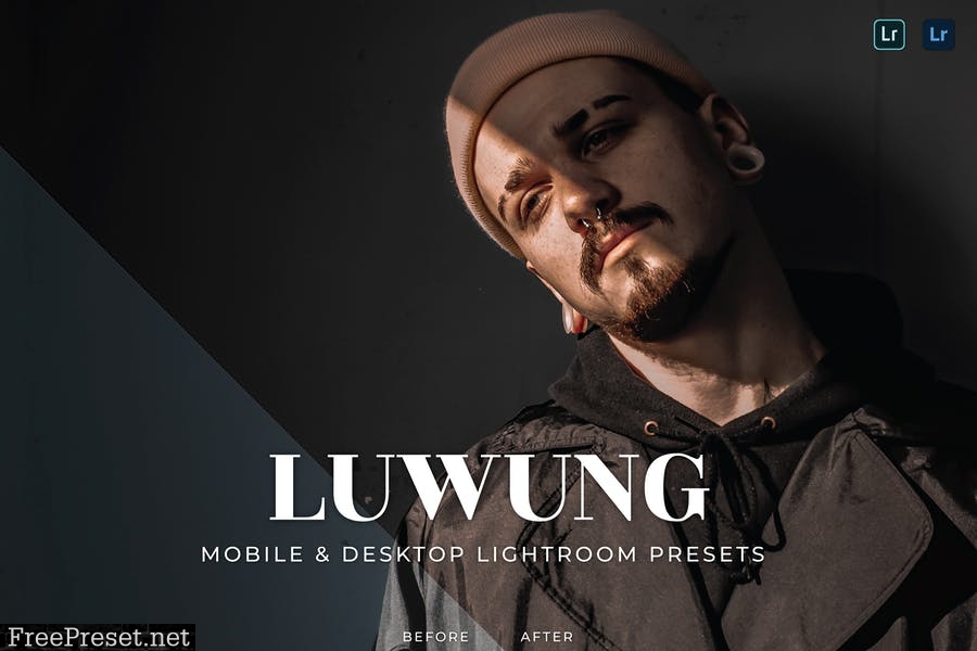 Luwung Mobile and Desktop Lightroom Presets