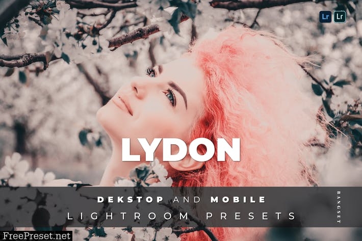Lydon Desktop and Mobile Lightroom Preset