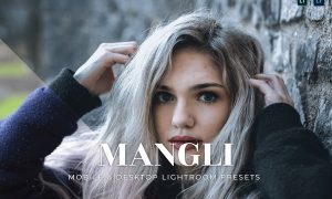 Mangli Mobile and Desktop Lightroom Presets