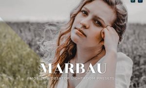 Marbau Mobile and Desktop Lightroom Presets
