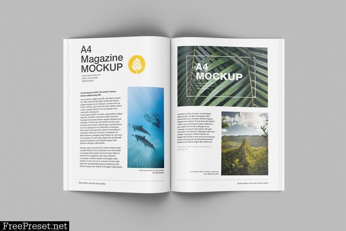 Matte Magazine Mockup. Top View